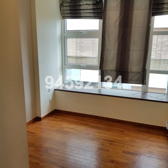 Palm Oasis (D15), Apartment #159458432